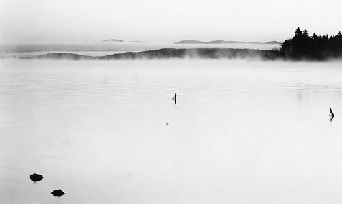 Mist on Lake