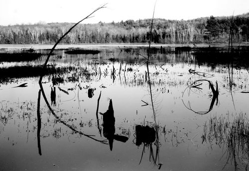 Pennfield Pond