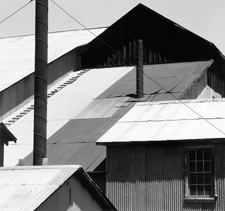 Tin Roofs