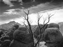 Alabama Hills